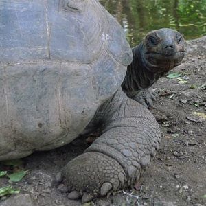 Meet your Posher, Darlene